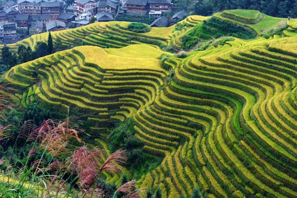 桂林旅游