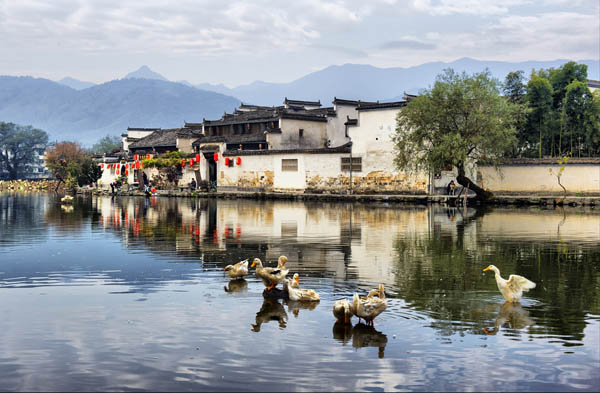 華南旅游