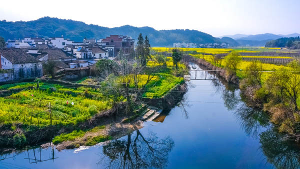 國內(nèi)旅游