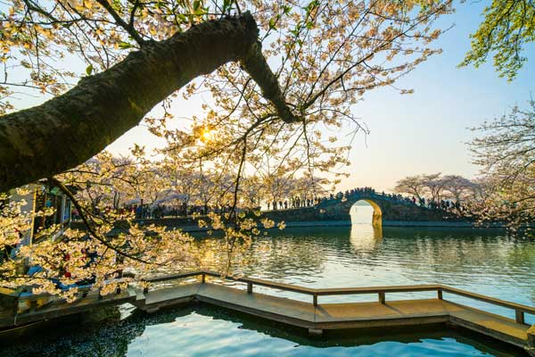 華東旅游
