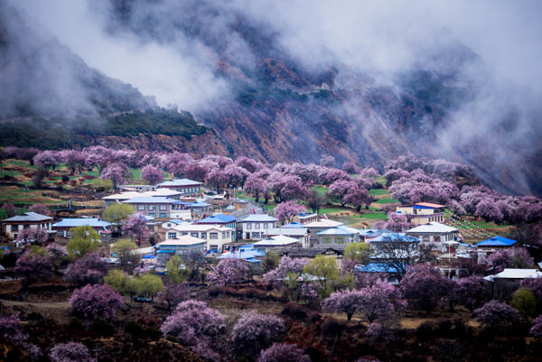 西藏旅游