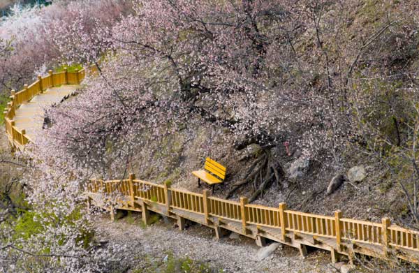 西北旅游