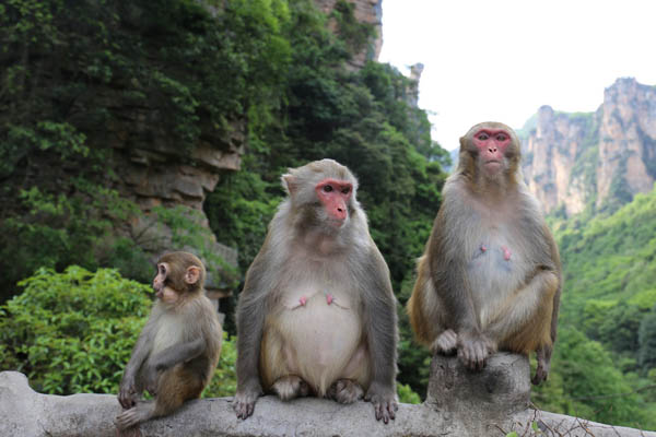 華中旅游