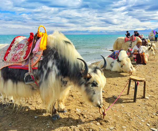 茶卡鹽湖旅游