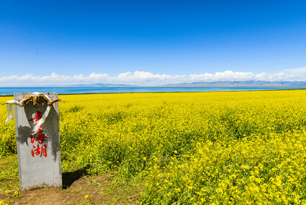 西北旅游