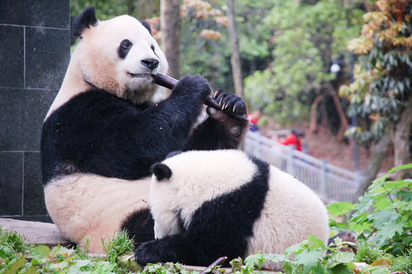 西南旅游