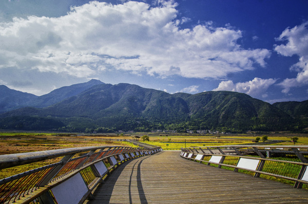 西南旅游