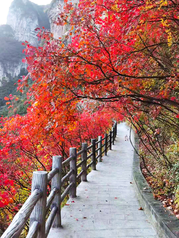 西南旅游