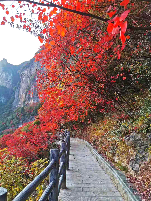 重慶周邊旅游