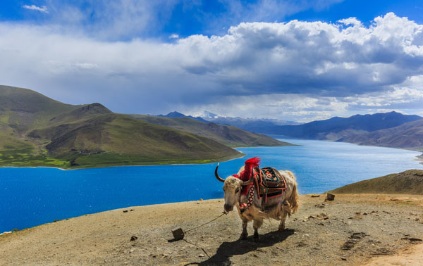 西藏旅游