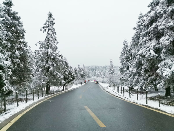 西南旅游
