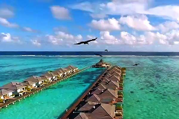 馬爾代夫旅游
