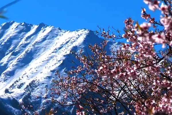 西藏旅游