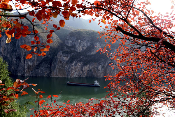 三峽紅葉006