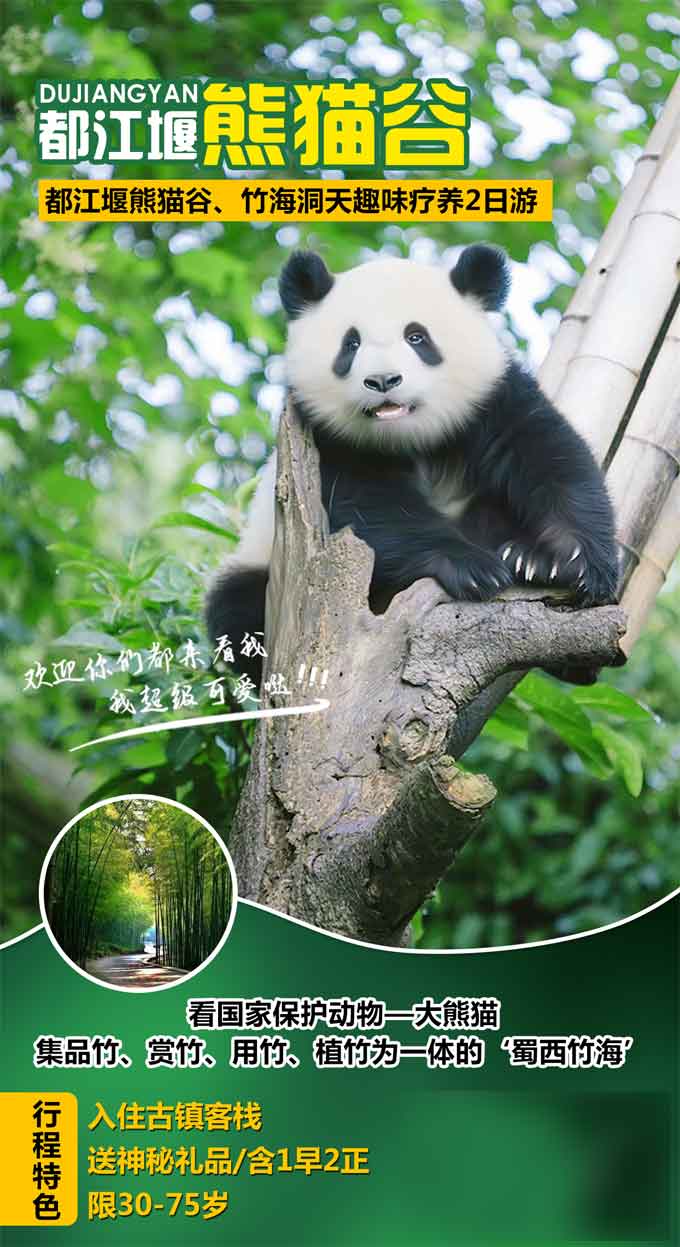 熊貓谷廣告圖