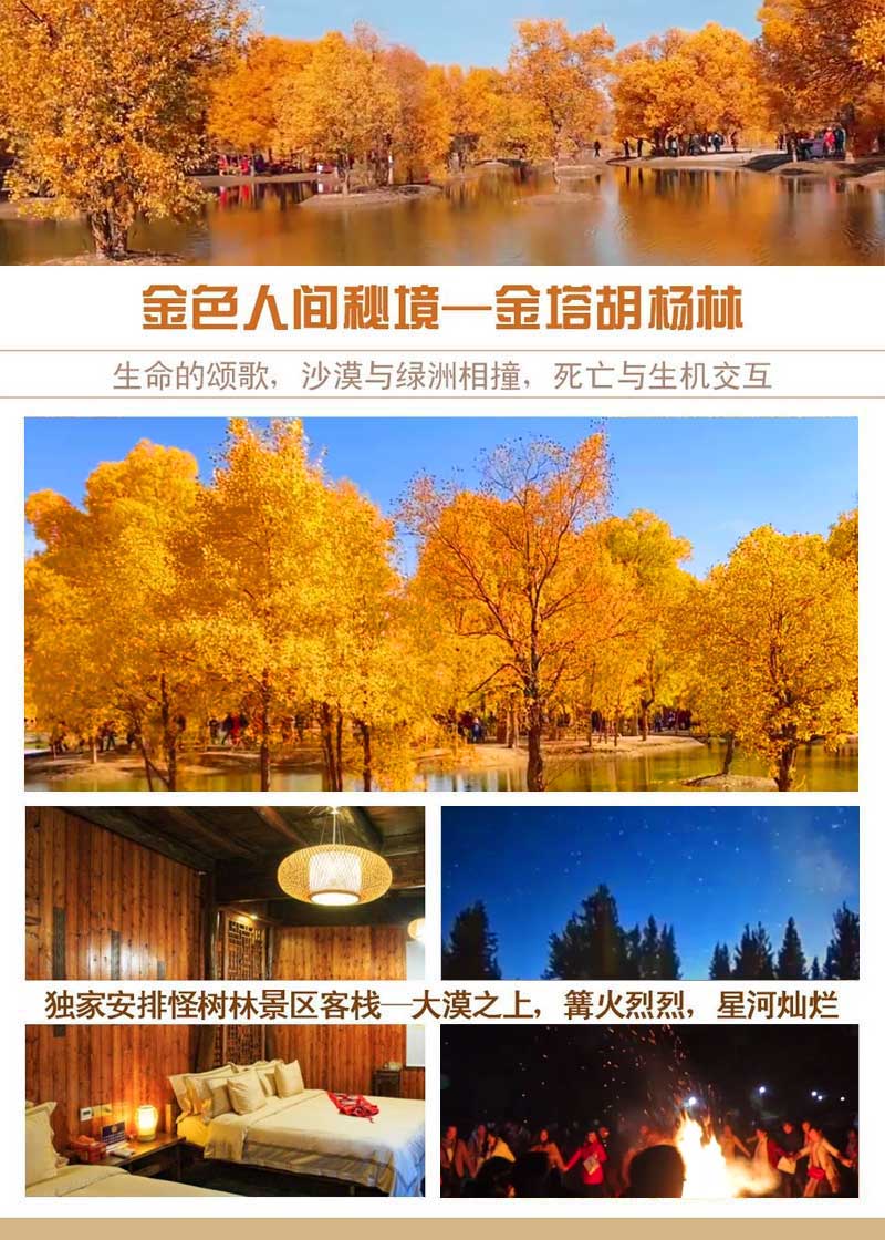 金塔胡楊林廣告設(shè)計(jì)